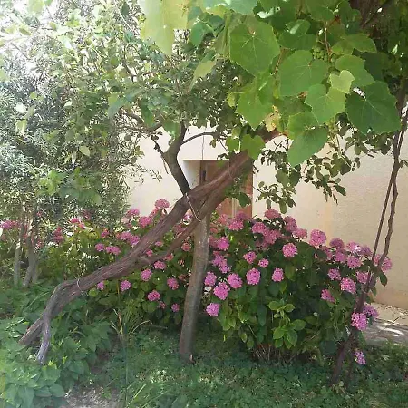 Guest House Adriya-3